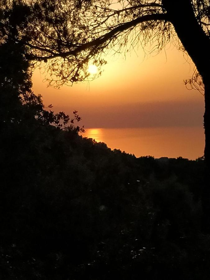 Sa Talaia Villa Lluc Exteriör bild